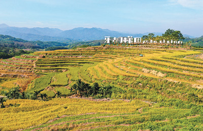 f54cbb9a-ccbf-4d70-a7df-f796a4d87a28 f54cbb9a-ccbf-4d70-a7df-f796a4d87a28