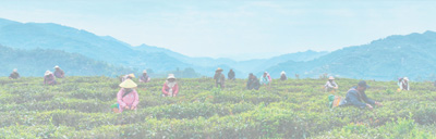 28e54235-deda-481b-8c37-4e7f1b9656ee