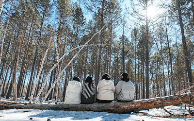 98f8674c-93a5-4410-8a3e-27e8de9bd41d