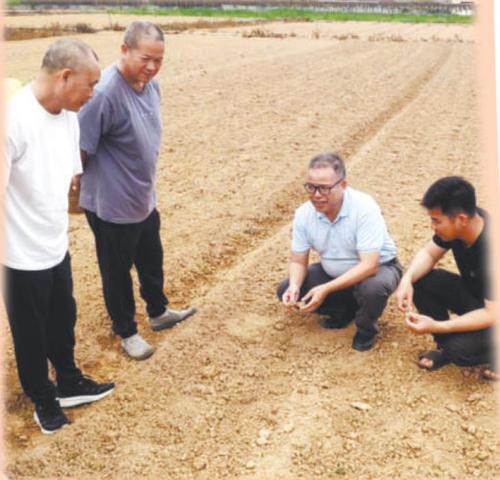 360截图20250417102341203 360截图20250417102341203