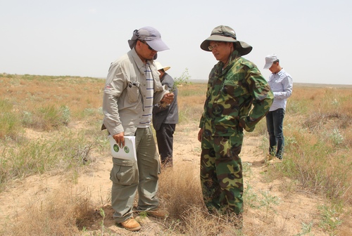 (0416主稿)迎着风沙而来——记全国政(7011446)-20250421085208 (0416主稿)迎着风沙而来——记全国政(7011446)-20250421085208