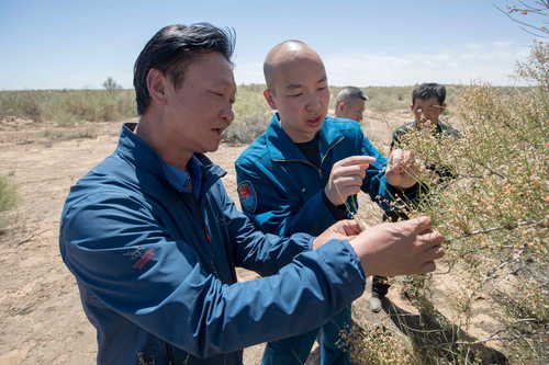 （416配稿）刘宏义：扎根戈壁，铸就绿色(7011941)-20250421085901