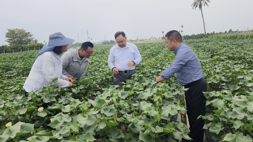 21日5版2  王威委员(右二)调研棉花(7032057)-20250421090925 21日5版2  王威委员(右二)调研棉花(7032057)-20250421090925