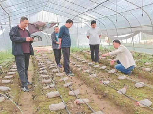 360截图20250428152625561