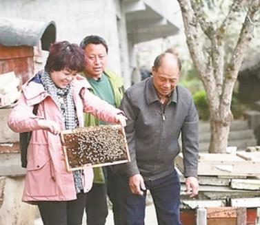 360截图20250515151132038 360截图20250515151132038