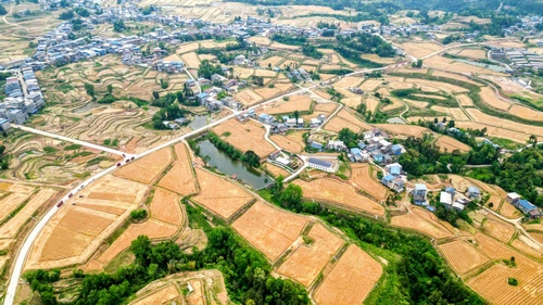 “丰”景如画(7265941)-20250520091035