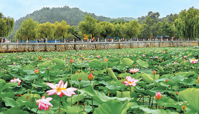 e74b58ef-e1c8-4669-8c50-e35f30893590 e74b58ef-e1c8-4669-8c50-e35f30893590