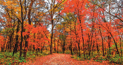 4034fb88-c933-40b1-acb2-4d95bc17e854 4034fb88-c933-40b1-acb2-4d95bc17e854