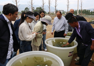 只为洱海泛清波