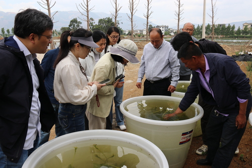 江苏民盟1(7400513)-20250607103600 江苏民盟1(7400513)-20250607103600