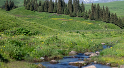新疆伊犁州：唐布拉百里画廊风景区进入最佳观赏季节