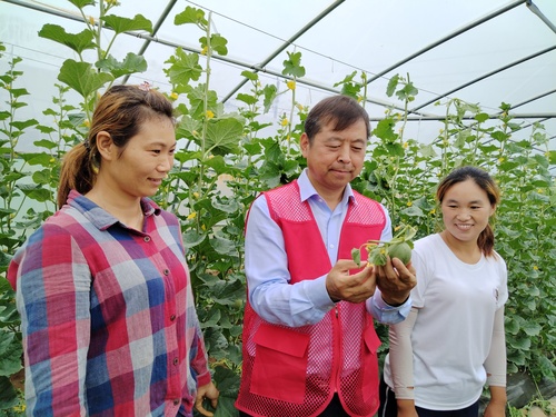 (6.9头条)陈国平:科技春风拂田野(分(7407191)-20250611084544 (6.9头条)陈国平:科技春风拂田野(分(7407191)-20250611084544