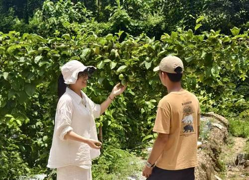 (6.9竖文)宋海漫:我见青山多妩媚(分(7407143)-20250611085253 (6.9竖文)宋海漫:我见青山多妩媚(分(7407143)-20250611085253