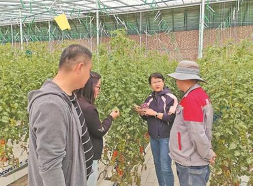 360截图20250625083644786 360截图20250625083644786