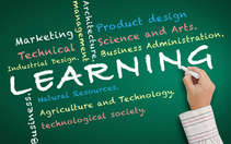 双语学习：大脑的终身保护伞