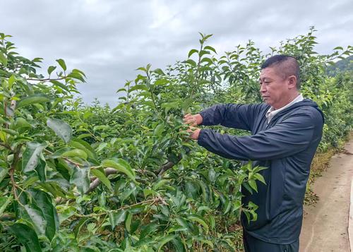 20250704ca1ec980f73141f7a800574c0543fc75_20250704a41493d9dd504aea9ca98b5beac15284