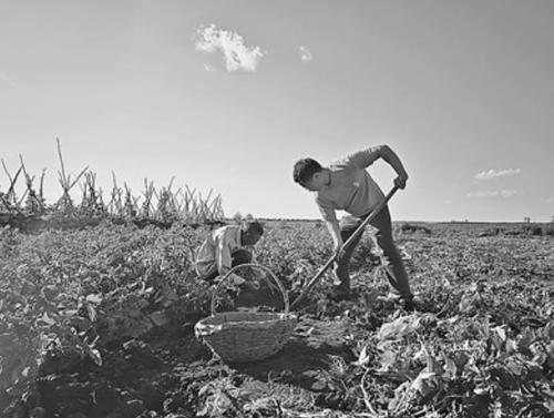 360截图20250717092708492 360截图20250717092708492