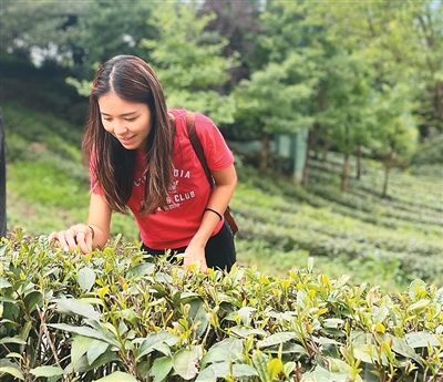 ceb1ee97-e01f-49ce-8c80-ad442edb842e ceb1ee97-e01f-49ce-8c80-ad442edb842e