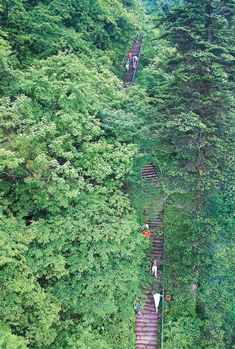 1ced325a-768a-4e8a-a9c9-d8cf7a594735 1ced325a-768a-4e8a-a9c9-d8cf7a594735