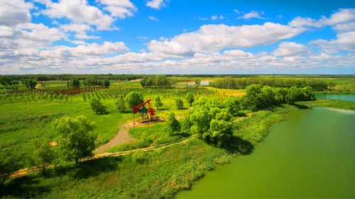 541fe8d23ace51656661(7796857)-20250725172735 541fe8d23ace51656661(7796857)-20250725172735