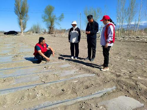 20250729000006d472c34b489bc0f090f8e60d16_6af012b1d74b4bb08f81489747b569b4 20250729000006d472c34b489bc0f090f8e60d16_6af012b1d74b4bb08f81489747b569b4