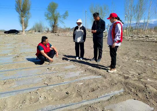 锲而不舍落实中央八项规定精神丨从会议桌转向田间地头——新疆精河县农技干部蹲点助农见闻