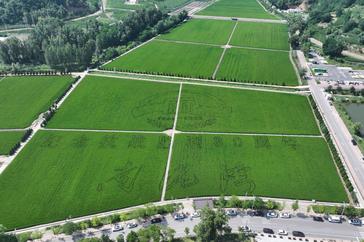 铭记历史 缅怀先烈丨陕西延安：昔日抗战后方 今朝发展动能澎湃