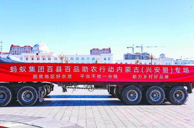 从“田间好农货”到“乡村好品牌”