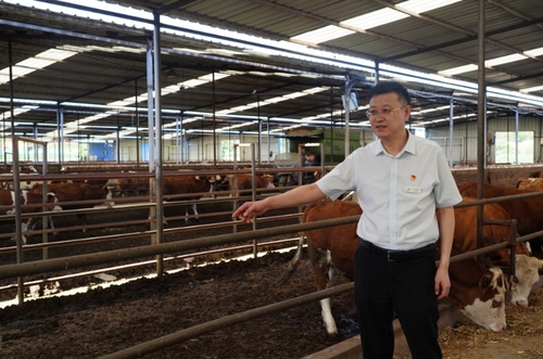 (0808二条)张晓东:金融活水润乡土%28(7903029)-20250808083745 (0808二条)张晓东:金融活水润乡土%28(7903029)-20250808083745