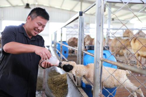 （0808市县头条）张林林：牧歌起，家乡(7902979)-20250808083750