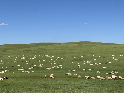 “两山”理念20年·委员眼中的青绿家乡_(7949690)-20250813072405 “两山”理念20年·委员眼中的青绿家乡_(7949690)-20250813072405