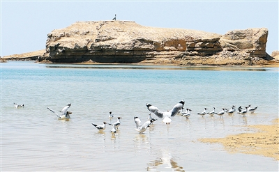 1f033a85-732c-4546-8574-791e8efe99be 1f033a85-732c-4546-8574-791e8efe99be