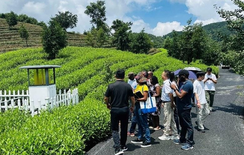 微信截图_20250818104508 微信截图_20250818104508