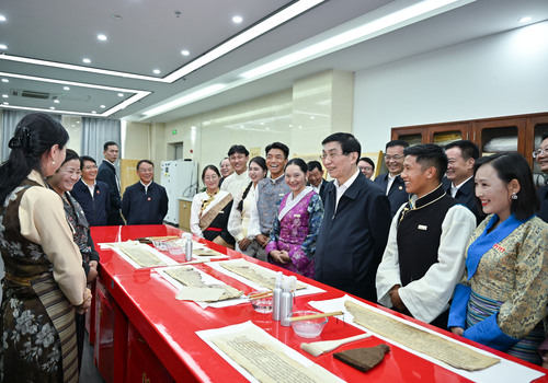 中央代表团在拉萨看望慰问各族干部群众 王(8020126)-20250822054134 中央代表团在拉萨看望慰问各族干部群众 王(8020126)-20250822054134