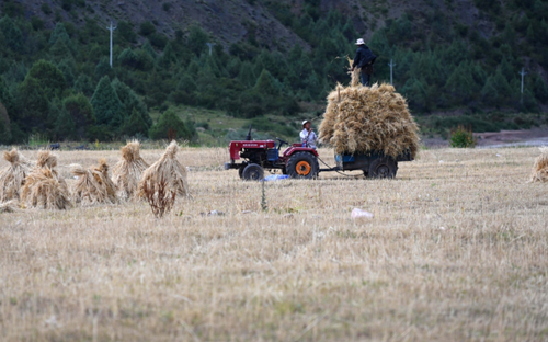 微信截图_20250822090158