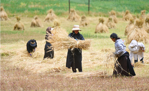 微信截图_20250822090210