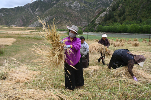 微信截图_20250822090221