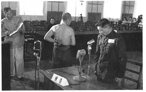 6.照：1956年7月7日上午，法庭调查(8005281)-20250825102510