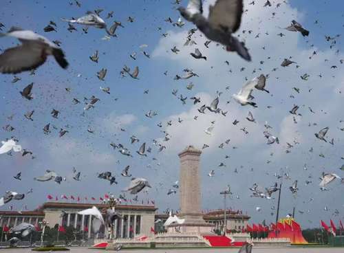 微信图片_20250904104759(8140857)-20250905165501 微信图片_20250904104759(8140857)-20250905165501