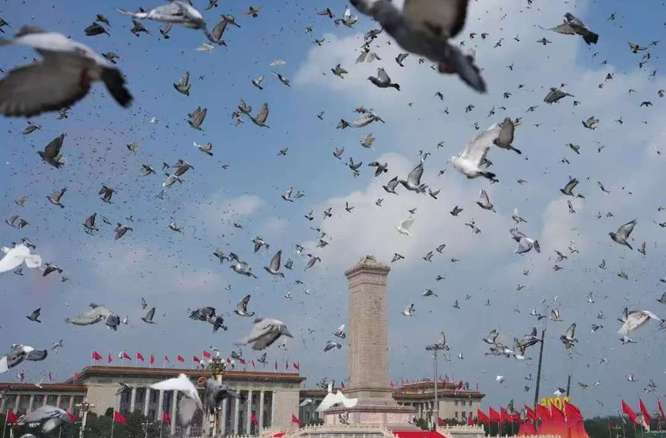 阅兵盛典与生态共融