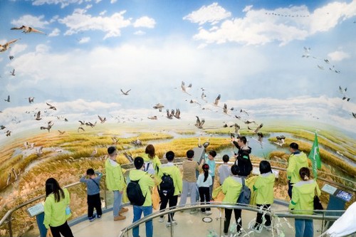 GetAttachment GetAttachment