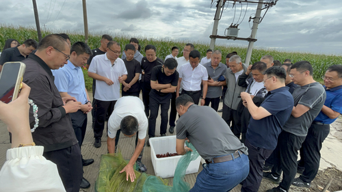 2025091695c9da46d3444a8688b7ad47be75bcee_2025091622722aef887a4e43b86f89cfbb867939 2025091695c9da46d3444a8688b7ad47be75bcee_2025091622722aef887a4e43b86f89cfbb867939