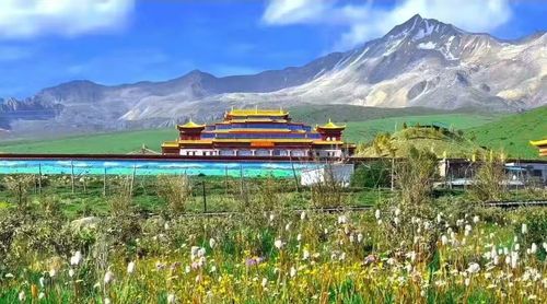 微信图片_20250919180213