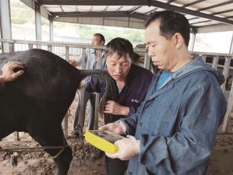 360截图20250922090733457 360截图20250922090733457