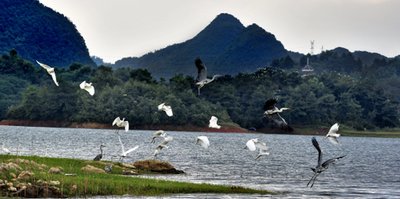 我国生态环境?；こ氏帧拔甯鲂隆?>
                      <p><span>
                        
                        
                          我国生态环境保护呈现“五个新”
                        
                        </span></p>
                    </a>
                  </li>
                  <li>
                    <a href=