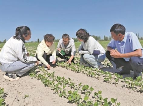 360截图20250926091204323 360截图20250926091204323