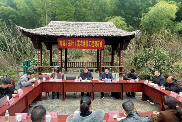 八婺同心聚合力，助农增收结硕果！