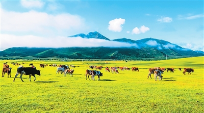 84d756b9-3b04-430c-add0-2a25d18a0900 84d756b9-3b04-430c-add0-2a25d18a0900