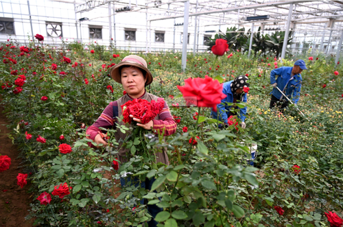 wechat_2025-10-10_155705_486 wechat_2025-10-10_155705_486