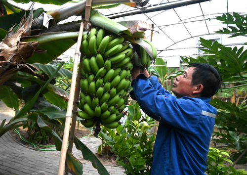 wechat_2025-10-10_155744_451 wechat_2025-10-10_155744_451